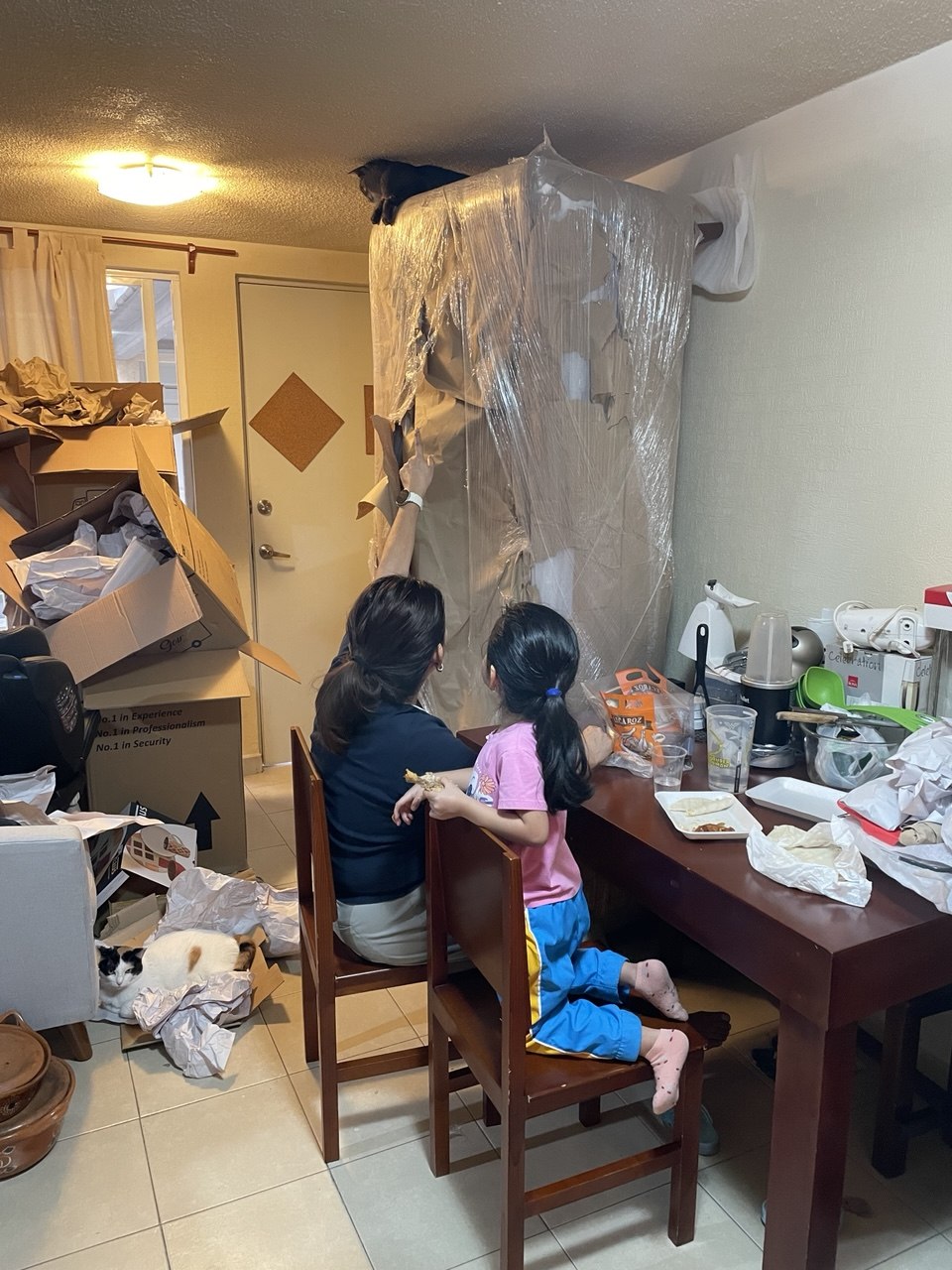 Protegido: Llego la mudanza!!!